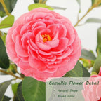 Bellacat 5ft Artificial Camellia Tree with Silk Pink Flowers, 60in Faux Camellia Plant with Lifelike Trunk, Fake Flower Tree Potted Front Door Plants for Porch Patio Deck Living Room Decor, 2Pack