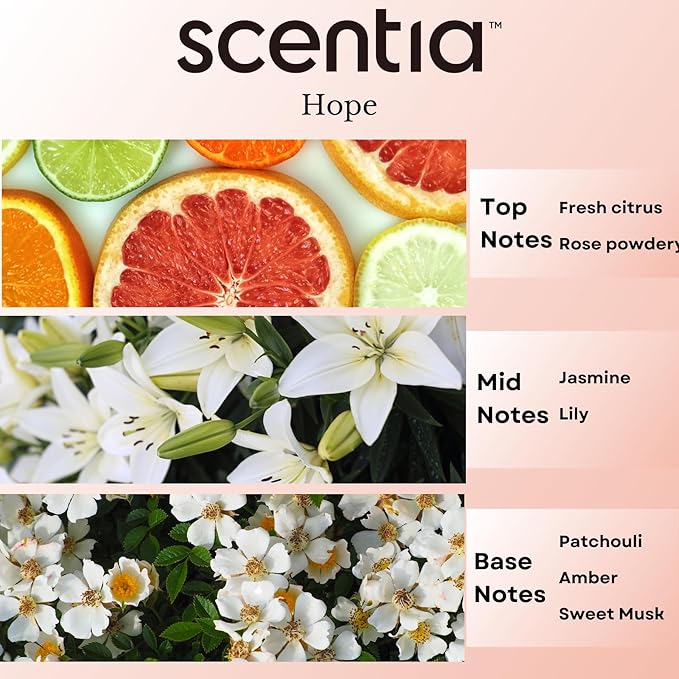 Chance-Inspired Diffuser Oil Refill- Scentia Hope Dupe Fragrance Oil Blend, Home Luxury Scents, Essential Oil Sets for Aromatherapy, Humidifiers & Candle Making | 50 ml, 1.69FlOz, Thanksgiving Gift