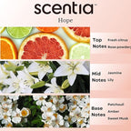 Coco-Chance-Inspired Diffuser Oil Refill - Scentia Hope Dupe Fragrance Oil Blend, Home Luxury Scents, Essential Oil Set for Aromatherapy Diﬀusers Candle Making | 20 ml, 0.67 Fl Oz, Thanksgiving Gift