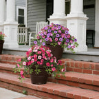 Artificial Fake Flowers Plants for Outdoors Spring Decoration, 2Pcs Faux Petunias with Greenery UV Resistant No Fade, Realistic Silk Flower for Outside Patio Planters Front Porch Window (Rose Red)