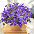 HyeFlora Artificial Fake Flowers for Outdoors Spring Summer Decor, 6 Bundles Faux Daisy Plants Silk Flowers for Outside Realistic UV Resistant for Outdoor Planter Porch Patio Balcony Yard Home, Purple