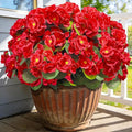 Artificial Geraniums Flowers for Outdoors Spring Decor, 8 Bundles UV Resistant Fake Geraniums Flowers Silk Faux Plants for Home Planter Gardens Table Patio Porch Indoor Summer Cemetery Decor(Red)