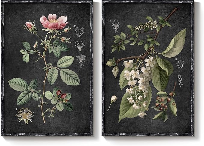 Large Framed Vintage Botanical Wall Art Set of 2, Rustic Retro Dark Floral Canvas Paintings Prints, Antique Flower Pictures for Farmhouse Living Room Hallway Bedroom Dining Room Wall Decor, 24x36 Inch