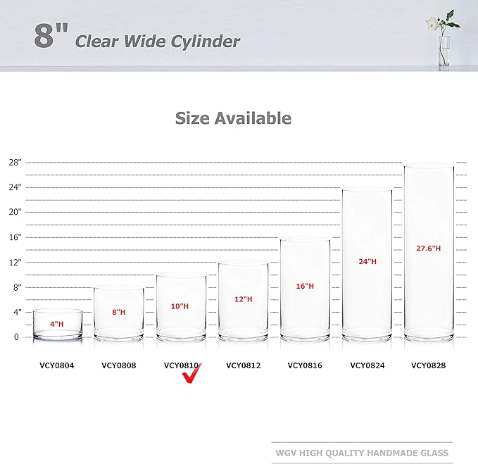 WGV Cylinder Vase Bulk, Width 8", Height 10", Clear Wide Large Diameter Flower Glassware, Floral Container, Planter Terrarium for Wedding Party Event, Home Accent Decor, 6 Pieces