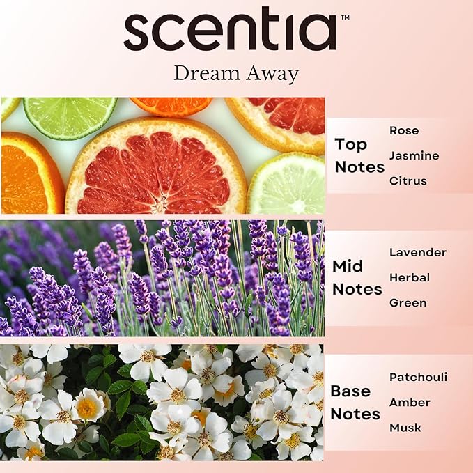 Scentia Fragrance Oil Blend, Inspired by Iconic Perfume, Home Luxury Scents, Essential Oil Blend for Aromatherapy Diﬀusers, Humidifiers & Candle Making -Dream Away 20 ml, 0.67 Fl Oz, Thanksgiving Gift