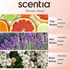 Scentia Fragrance Oil Blend, Inspired by Iconic Perfume, Home Luxury Scents, Essential Oil Blend for Aromatherapy Diﬀusers, Humidifiers & Candle Making -Dream Away 20 ml, 0.67 Fl Oz, Thanksgiving Gift