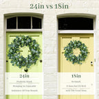 22Inch Eucalyptus Wreath for Front Door, Eucalyptus Wreath with Boxwood Leaves for All Seasons Christmas Spring Summer Year Round Wreaths for Front Door Indoor Outdoor Wedding Holiday