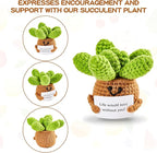 DAFURIET Mini Funny Crochet Succulent, 3 inch Knitted Wool Doll with Card for Cheer Up Gifts and Party Decorations, Cute Wool Crochet Doll for Mother’s Day Easter Birthday Gifts (Succulent Plant)
