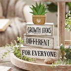 Lineshading 4 Pcs Inspirational Farmhouse Table Decor Growth Looks Different for Everyone Rustic Stacked Wooden Block Signs with Inspirational Quote Artificial Succulent for Home, Office, Shelf Gift