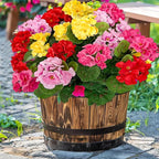 Artificial Geraniums Flowers for Outdoors Spring Decor, 4 Bundles UV Resistant Fake Geraniums Flowers Silk Faux Plants for Home Planter Gardens Table Patio Porch Indoor Cemetery Summer Decor(Color)