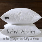 18x18 Decorative Throw Pillow Inserts-Down Feather Pillow Inserts-Square-Cotton Fabric-Set of 2-White.