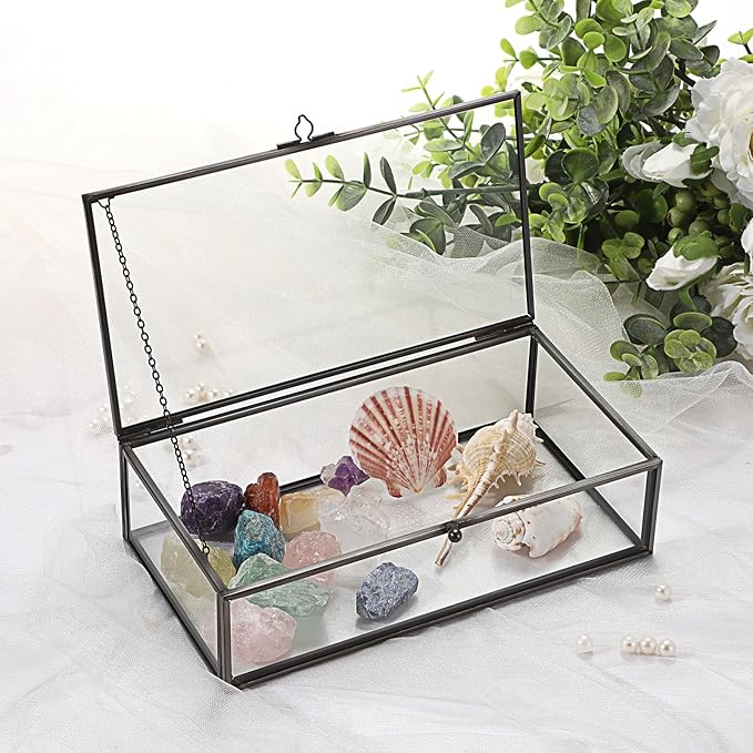 Hipiwe Glass Keepsakes Display Box with Lid - Decorative Black Glass Box Clear Rectangle Storage for Trinket Perfume Cards Gift