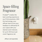 Pura & GUY FOX Home Scent Refill - Smart Home Air Diffuser - Long-Lasting Luxury Fragrance per Refill - Household & Apartment Essential - Clean Diffuser Fragrance - 2 Pack, SoHo