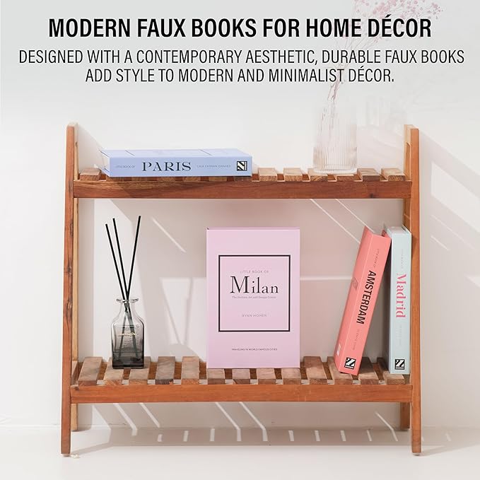 PROBENEX Pastel Medium | 4 PCS Faux Decorative Books for Home Decor | Not Real Books (Cardboard Boxes) | Coffee Table, Shelf Styling & Modern Aesthetic Accent Pieces for Living Room, Office