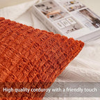 Aegero Pack of 2 Corduroy Decorative Throw Pillow Covers 16x16 Inch Soft Striped Pillow Covers Modern Farmhouse Home Decor for Sofa Living Room Couch Bed（Wine Red）