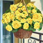 Artificial Geraniums Flowers for Outdoors Spring Decor, 4 Bundles UV Resistant Fake Geraniums Flowers Silk Faux Plants for Home Planter Gardens Table Patio Porch Indoor Cemetery Summer Decor(Yellow)