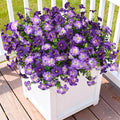 INQCMY Artificial Fake Flowers for Outdoor Spring Decoration,12 Bundles Faux Silk Colorful Morning Glory with Eucalyptus UV Resistant Realistic Fake Plants for Outside Planter Porch Patio Yard Garden