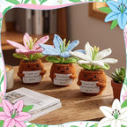 Wavwavw 3 Pack Teacher Appreciation Gift Positive Flower Handmade Crochet Doll Thank You for Helping Me Grow Gifts Back to School Gifts for Women Teacher(Lily Flower)