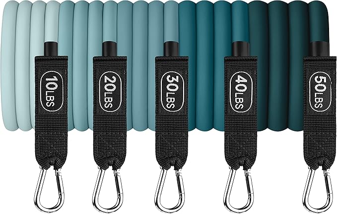 Retrospec Train Resistance Bands Set for Working Out - 5 Stackable Bands, Handles & Door Anchor - Portable Fitness Equipment for Physical Therapy & Yoga Includes Carry Bag