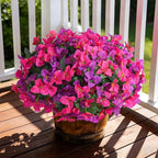 Faux Bougainvillea Artificial Flowers Plants for Outdoors Spring Decor, 4 Bundles Realistic Bougainvillea UV Resistant Faux Flowers for Outdoor Planters Porch Patio Window Garden Home, Fuchsia