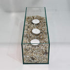 WGV Rectangle Plate Vase, Length 12", Width 4", Height 4", Glass Container, Floral Dispaly, Candy Holder, Planter Terrarium for Wedding Party Event, Home Office Décor, Clear, 1 Piece