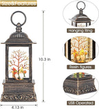Fall Snow Globe Decorations, Glitter Gnome Lantern with 6H Timer, USB/Battery Powered Lighted Décor for Home, Tabletop, Gift Box