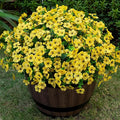 Lnoicy 20 Bundles Artificial Flowers for Outdoor Fake Plants for Spring Decoration,Faux Eucalyptus Flowers for Planter UV Resistant Lifelike for Home Porch Garden（Yellow）
