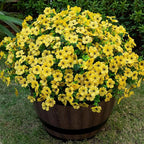 Lnoicy 20 Bundles Artificial Flowers for Outdoor Fake Plants for Spring Decoration,Faux Eucalyptus Flowers for Planter UV Resistant Lifelike for Home Porch Garden（Yellow）