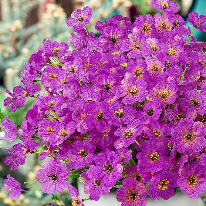 MACTING Artificial Flowers for Outdoors 12 Bundles Faux Outdoor Plants UV Resistant Plastic Silk Flowers No Fade for Planters Window Patio Porch Yard Indoor Garden Outside Summer Decorations(Purple)