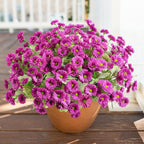 HyeFlora Artificial Flowers for Outdoors Spring Summer Outside Decor, 6 Bundles Fake Daisy Realistic Silk Flowers UV Resistant Outdoor Faux Plants for Planter Front Door Porch Balcony Yard, Fuchsia