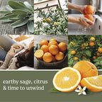 Yankee Candle Scented Wax Melts for Wax Warmers, Candle-Wax Melts Refills, Long Lasting Home Fragrance, Sage & Citrus, 6 Count (Pack of 36)