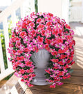 HyeFlora Artificial Flowers for Outdoors, 2pcs Faux Hanging Morning Glory Silk Fake Flowers Lifelike Artificial Plants UV Resistant Flowers for Outside Planter Patio Garden Porch Decor (Rose red)