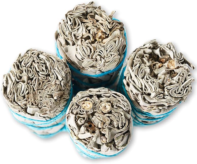 12 Pack White Sage ~ Sage Smudge Sticks for Smudging & Cleansing Energy ~ Bulk/Wholesale ~ Sustainably Grown (12 Pack)