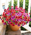 HyeFlora Artificial Flowers for Outdoors Spring Summer Decor, 6 Bundles Fake Daisy Silk Flowers for Outside Realistic UV Resistant Faux Plants for Outdoor Planters Porch Porch Patio Balcony Yard Home