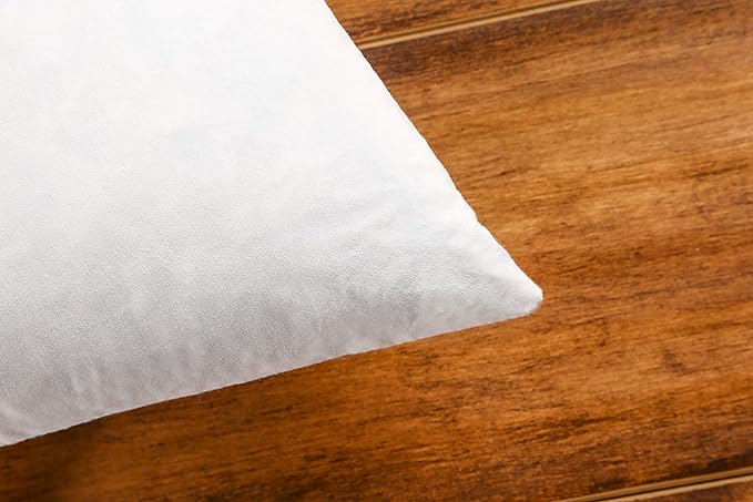 JA COMFORTS 16×16 Premium Goose Down Feather Throw Pillow Inserts(Set of 2)-5% Down Filling,High Filling Weight,250 TC Cotton Cover, Square, White