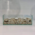WGV Rectangle Plate Vase, Length 12", Width 4", Height 4", Glass Container, Floral Dispaly, Candy Holder, Planter Terrarium for Wedding Party Event, Home Office Décor, Clear, 1 Piece