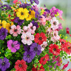 Artificial Flowers for Outdoors Spring Decoration, 12 Bundles Fake Flower Daisy with Realistic Eucalyptus Leaves, Faux Plants for Greenery Boxwood Porch Patio Garden Pot Lawn