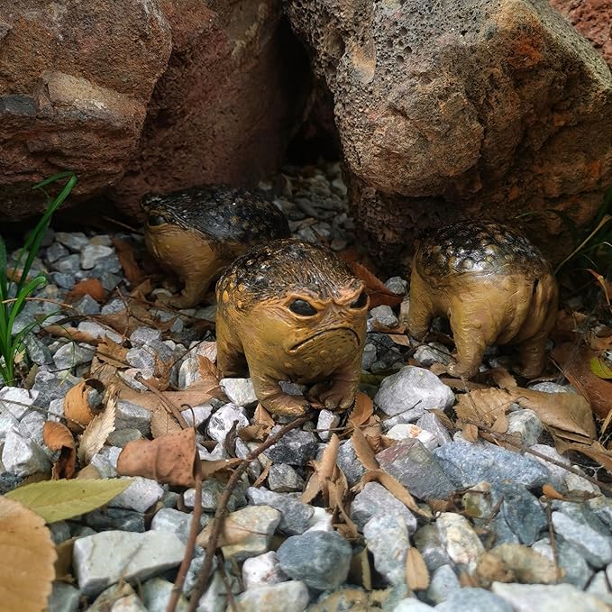MOLMH Weird Queer Grumpy Frog Toad Statue Ugly Angry Outdoor Garden Yard Decor Statue Fun Novelty Home Office Decor Sculpture Unique Gift