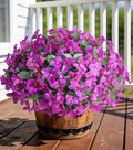 Faux Bougainvillea Artificial Flowers Plants for Outdoors Spring Decor, 4 Bundles Realistic Bougainvillea UV Resistant Faux Flowers for Outdoor Planters Porch Patio Window Garden Home, Fuchsia