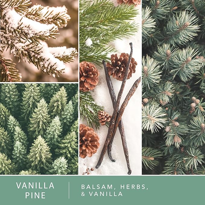 ScentSationals Vanilla Pine Scented Wax Melts - Balsam, Herbs & Vanilla, 10oz (24 Cubes)