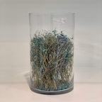 WGV Cylinder Vase, Width 7", Height 12", Clear Wide Large Diameter Flower Glassware, Floral Container, Planter Terrarium for Wedding Party Event, Home Accent Decor, 1 Piece