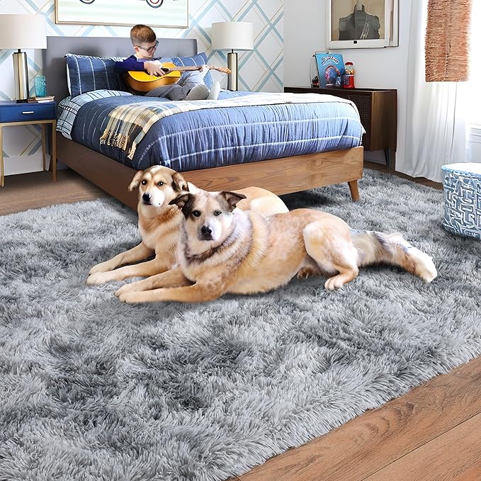 Rugs for Living Room 5x7, Soft Shaggy Modern Shag Area Rug for Bedroom, Upgrade Non-Slip Plush Fluffy Carpet for Kids Boys Girls Room Home Decor Aesthetic, Light Grey