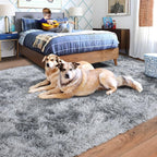 Rugs for Living Room 5x7, Soft Shaggy Modern Shag Area Rug for Bedroom, Upgrade Non-Slip Plush Fluffy Carpet for Kids Boys Girls Room Home Decor Aesthetic, Light Grey