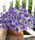 HyeFlora Artificial Flowers for Outdoors Faux Plants Spring Decoration, 6 Bundles Fake Daisy Silk Flowers for Outside Realistic UV Resistant for Outdoor Planters Porch Patio Balcony Yard Home