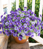 HyeFlora Artificial Flowers for Outdoors Faux Plants Spring Decoration, 6 Bundles Fake Daisy Silk Flowers for Outside Realistic UV Resistant for Outdoor Planters Porch Patio Balcony Yard Home