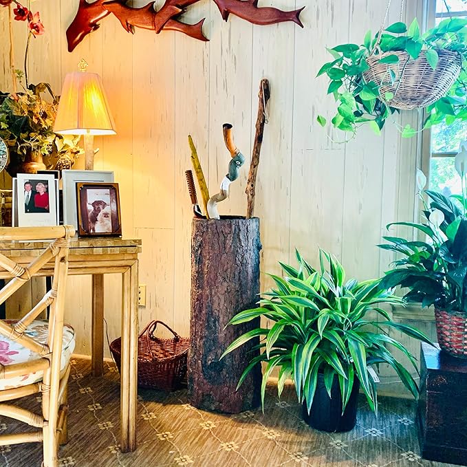 🌳 Vintage Farmhouse Umbrella Stand. Unique Indoor / Outdoor Walking Stick & Umbrella Holder. Rustic Home Entryway Log Bin.