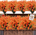 12 Bundles Artificial Flowers for Outdoors Spring Summer Decorations, UV Resistant Fake Mums Realistic Fake Plants Faux Plastic Flowers for Outdoor Indoor Home Gardens Porch Fall Decor(Orange Red)