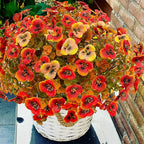 Artificial Mums Fall Flowers for Outdoors, 12pcs Fake Mums UV Resistant Outdoor Artificial Plants, Faux Silk Flowers Plants for Porch,Garden, Patio,Window Box Decoration