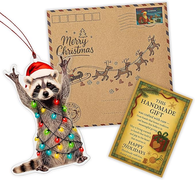 Funny Christmas Ornaments, Racoon Christmas Ornament, Christmas Ornaments 2026, Raccoon Gifts for Women Animal Lovers, Animal Gifts for Friends, Coworker, Raccoon Ornament Christmas Decorations