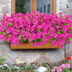Waipfaru Artificial Flowers for Outdoors, 24 Bundles Faux Plants Outdoor, UV Resistant Artificial Plants Outdoor, Silk Petunias Fake Flowers for Outside Home Decor Planter Porch Decoration, Rose Red